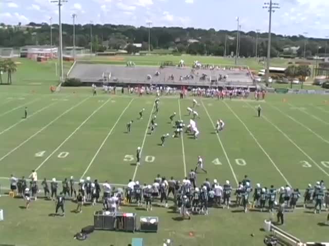 Mens Varsity Football Webber International University Babson