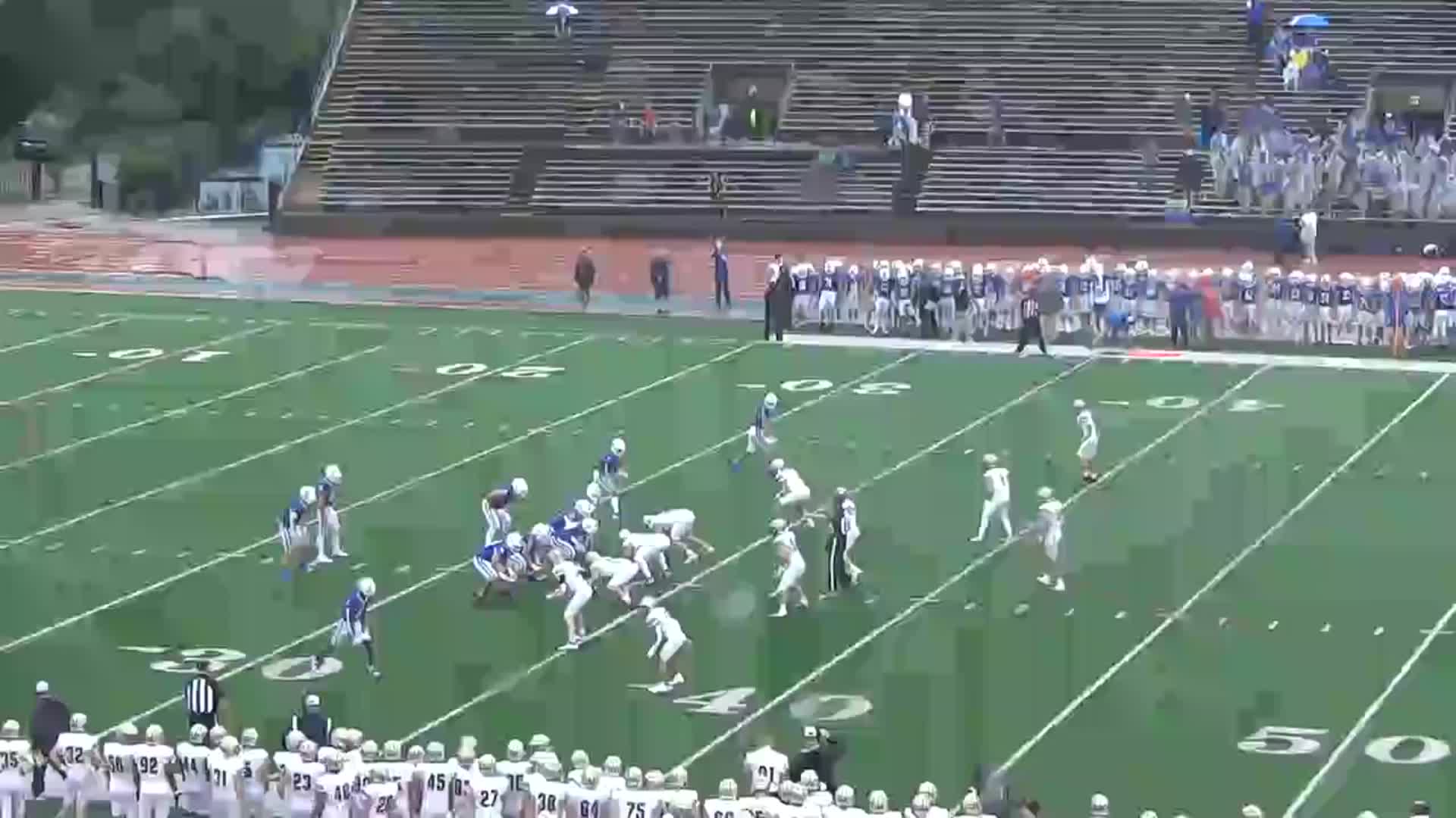2024 Full Season Highlights